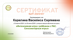 Игра с детьми с РАС